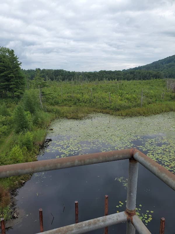 Wild Acres - Observation Tower - Image 1