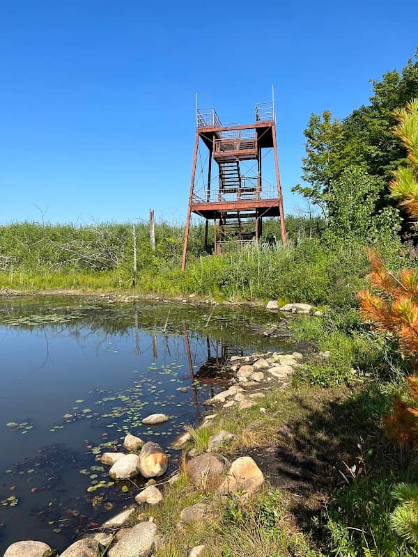 Wild Acres - Observation Tower - Image 2