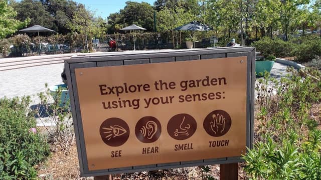 Sensory Garden - Image 1
