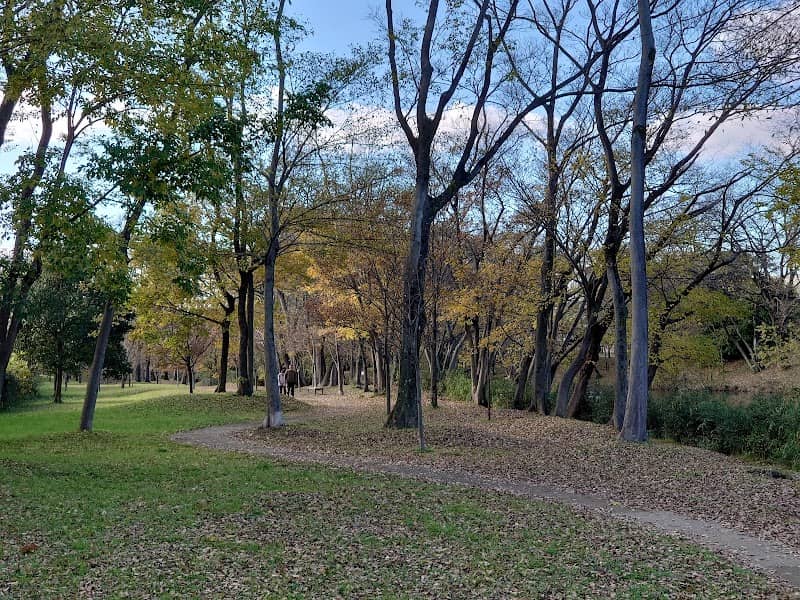 Kasekiko Park - Image 2