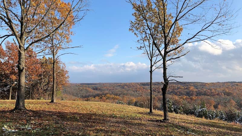 The Land - Image 1