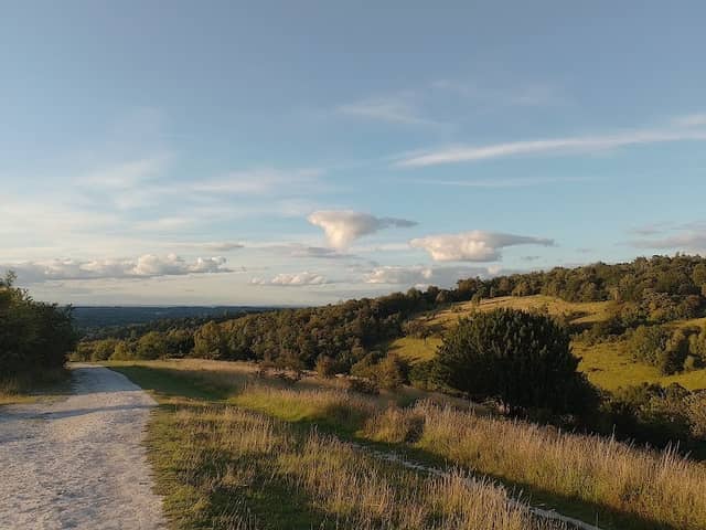 Surrey Hills View - Image 1