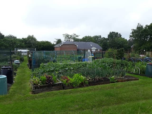Headcorn Allotments - Image 1