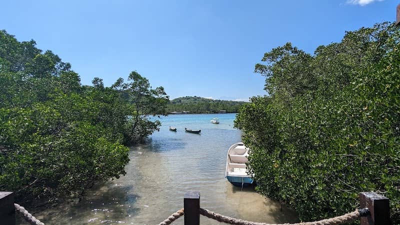 Lookout Trek Mangrove - Image 1