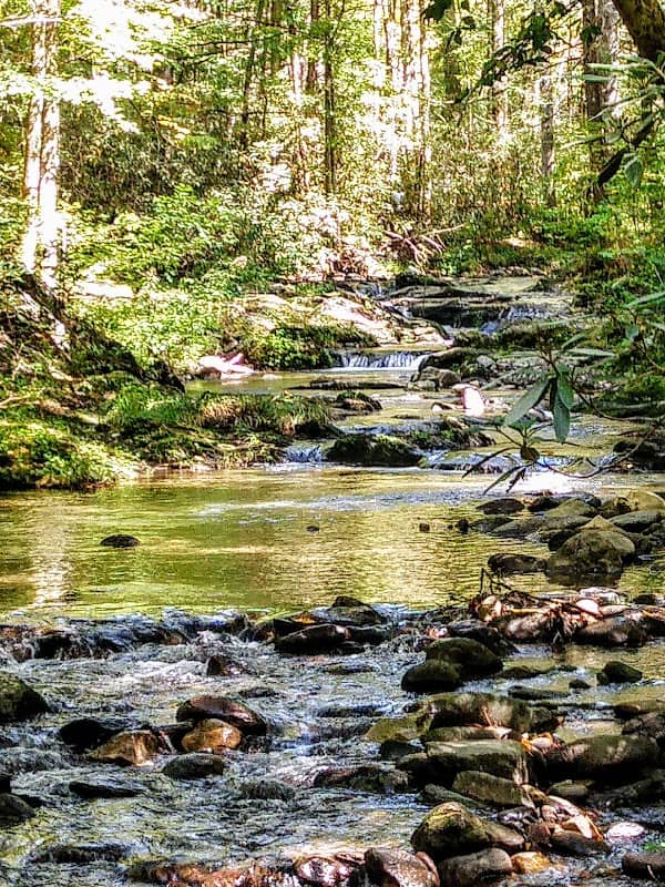 Big Frog Wilderness - Image 2