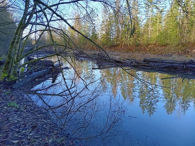 White River Trailhead - Image 2