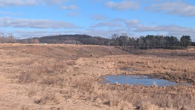 Kettle Pond Prairie - Image 1