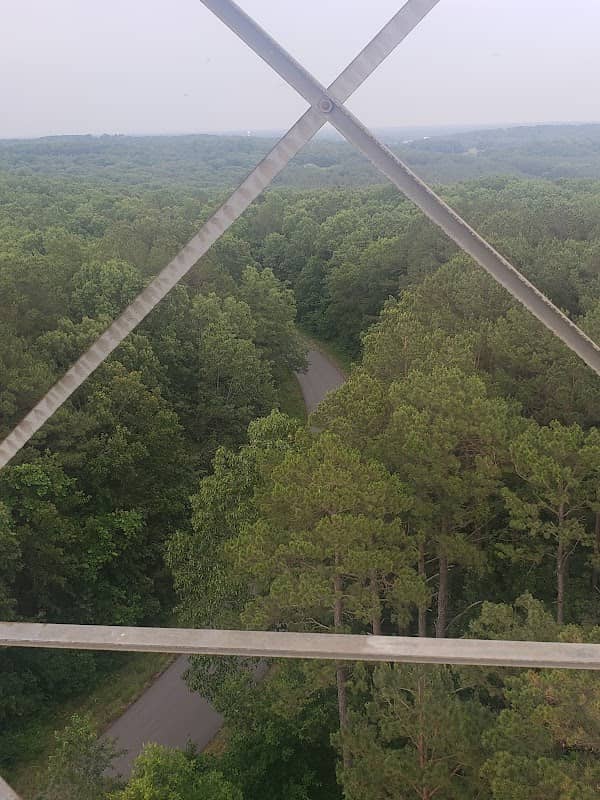Mtn. View Conservation Watch Tower - Image 1