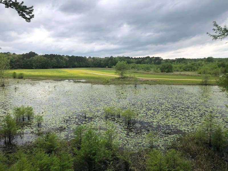 Goose Overlook - Image 1