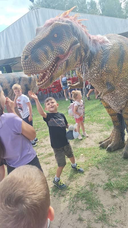 Safari Dinó park - Image 1
