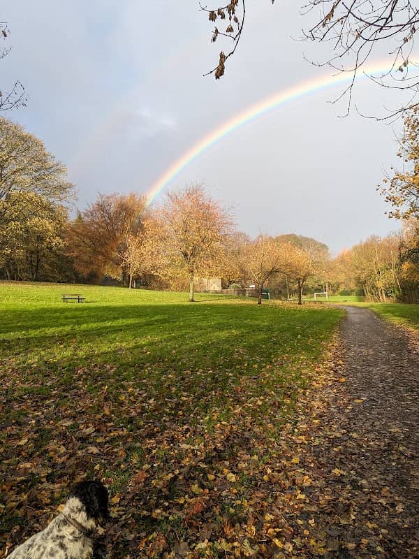 Shaw Park - Image 2