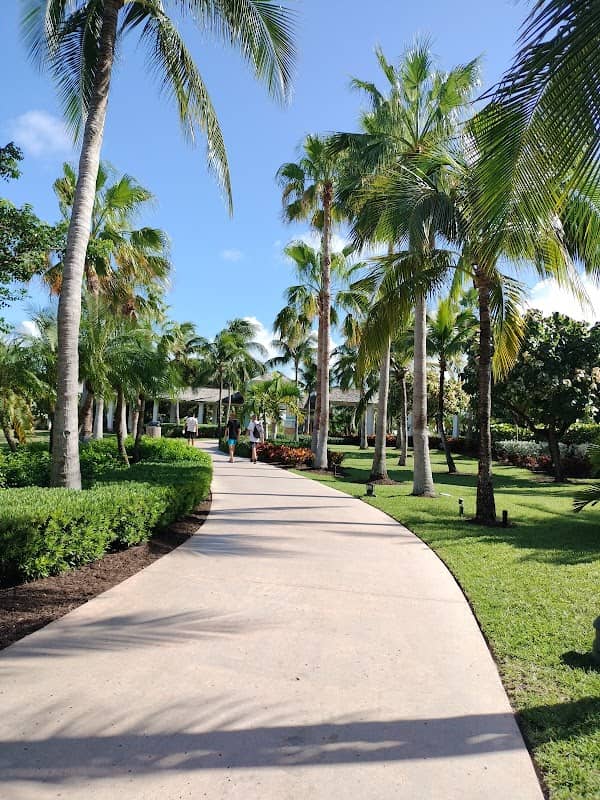 Paradise island Bahamas - Image 2