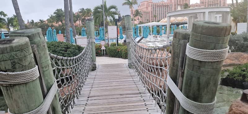 Paradise island Bahamas - Image 3