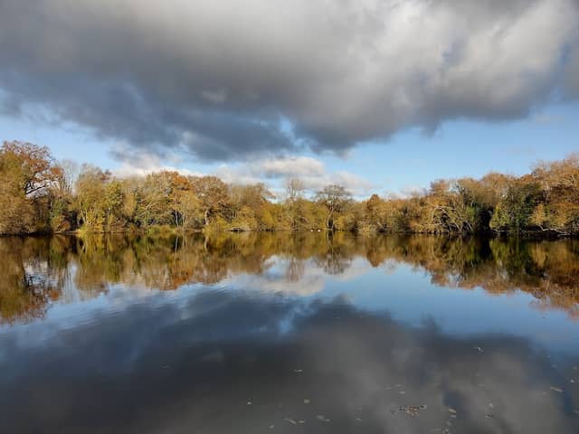 Swan Lake Park - Image 2