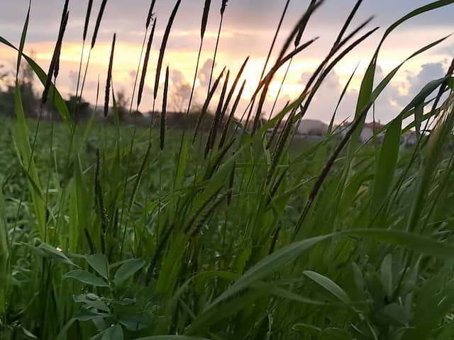 Parku i Madh i Laknasit - Image 1