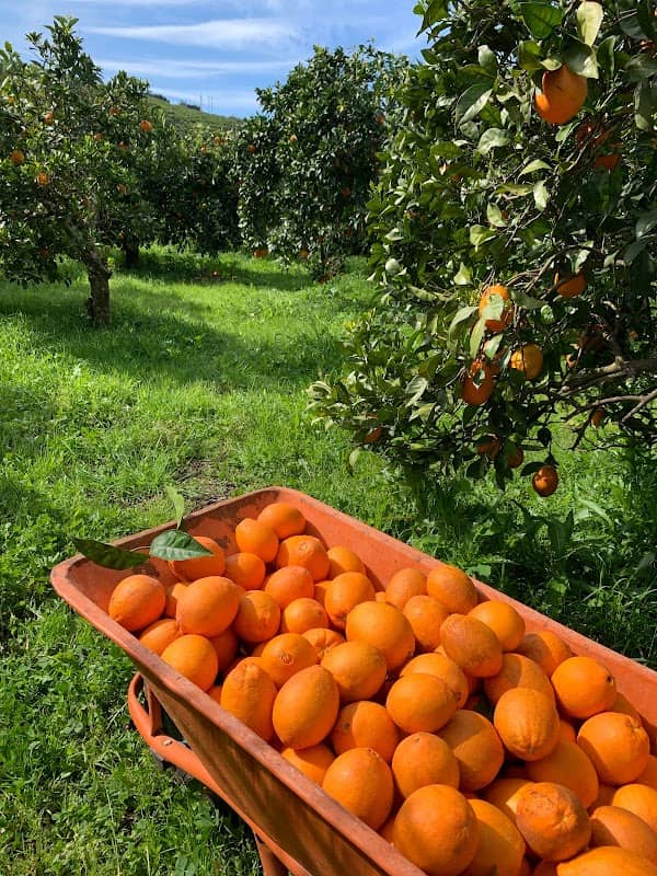 Quinta Boa Vida - Image 1