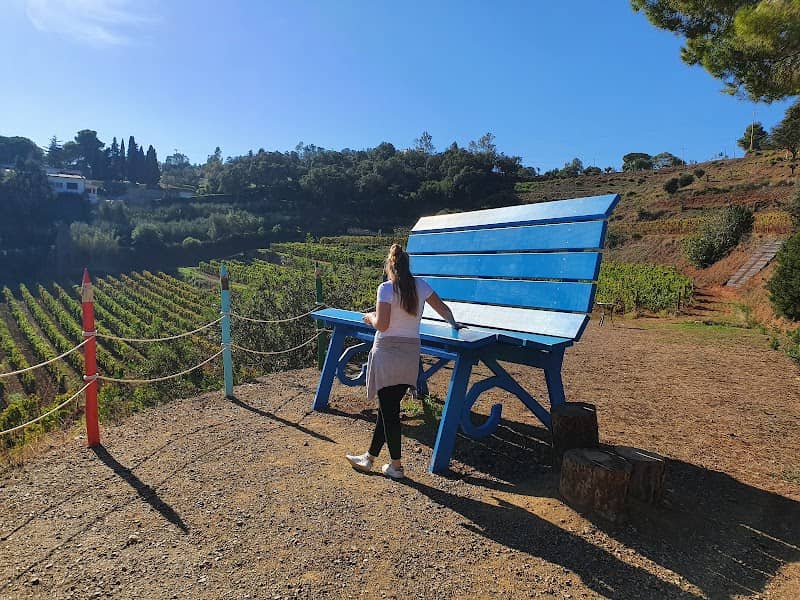 Big Bench #224 - Porto Azzurro - Image 1