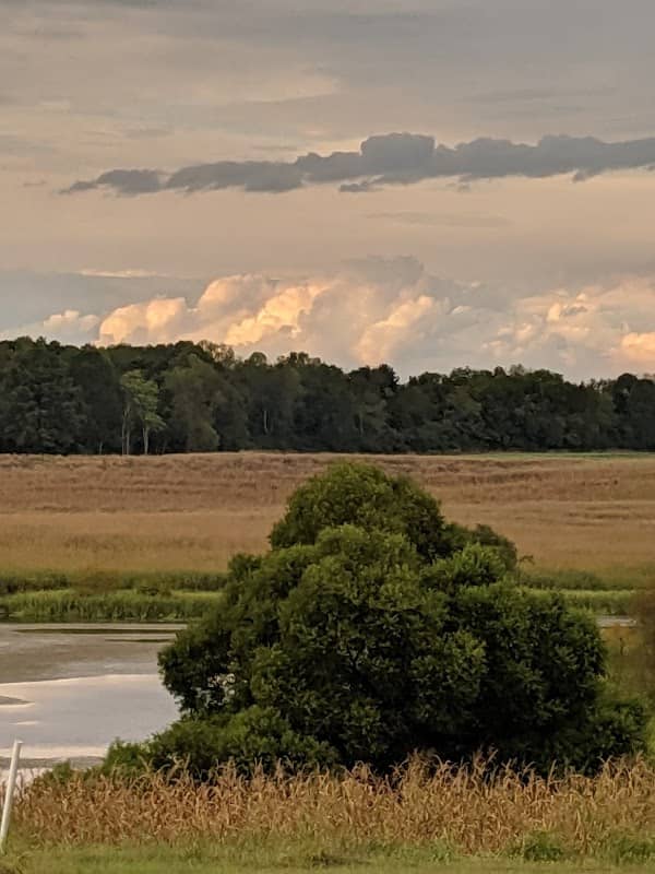 Hiwassee Wildlife Refuge - Image 3