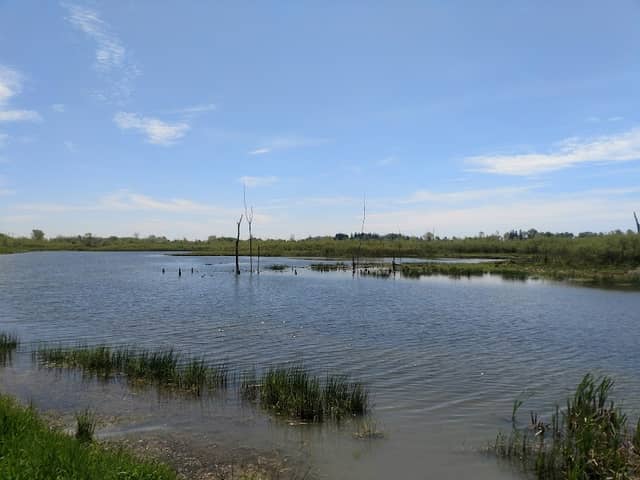 Hullett Provincial Wildlife Area - Image 1