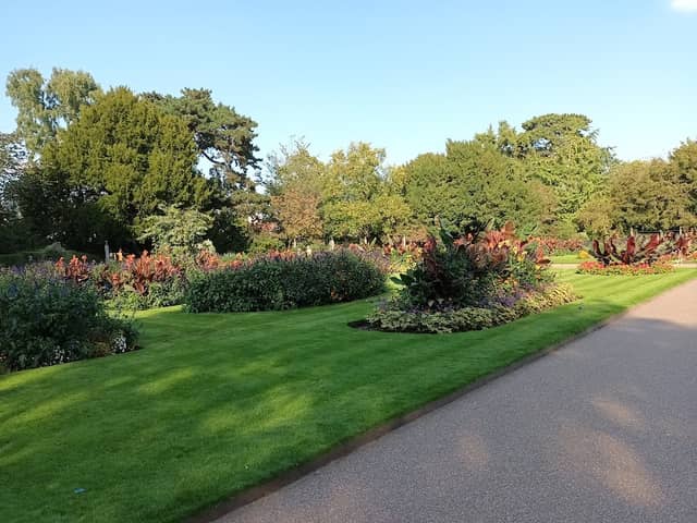 Water garden - Image 1