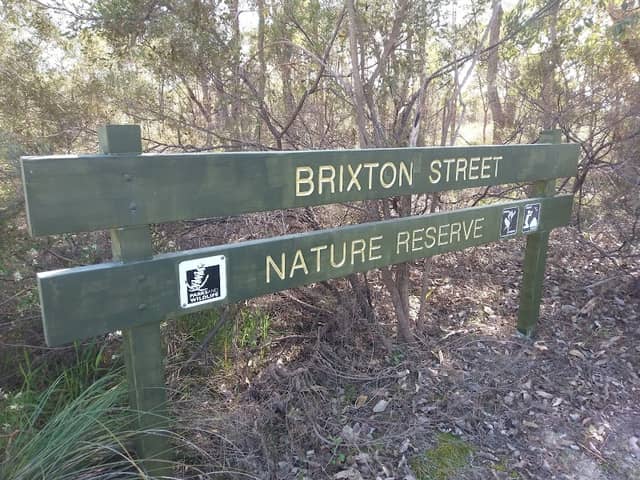 Brixton Street Wetlands - Image 2
