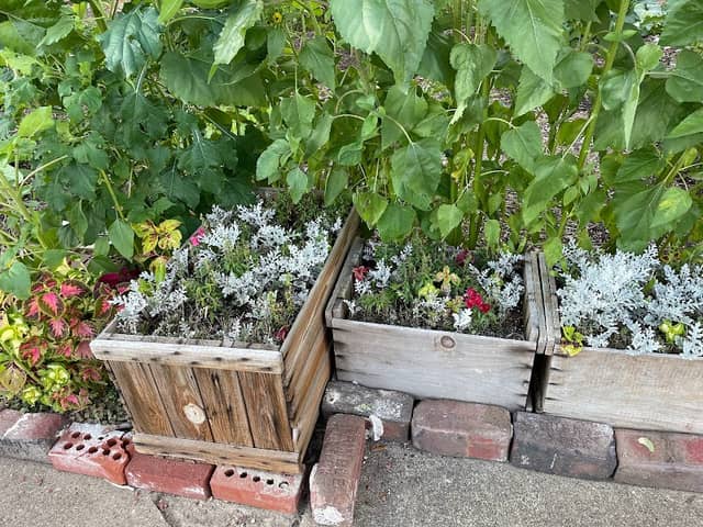 Pomeroy Botanical Garden - Image 1