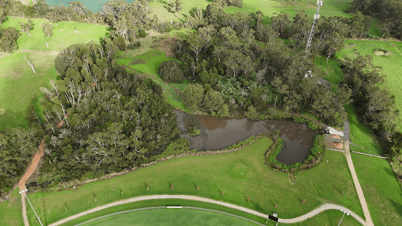 Bellbird Park Nature Walk - Image 1