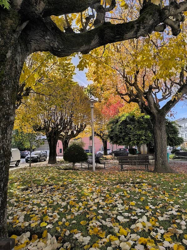 Jardim Municipal de Soure - Image 1