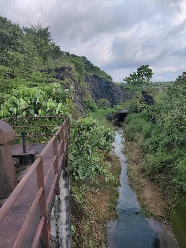 Forest aqueduct malayattoor - Image 1