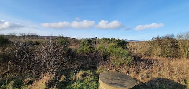 Mosswater Local Nature Reserve - Image 1