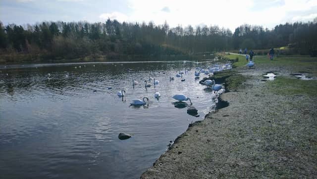 Mosswater Local Nature Reserve - Image 2