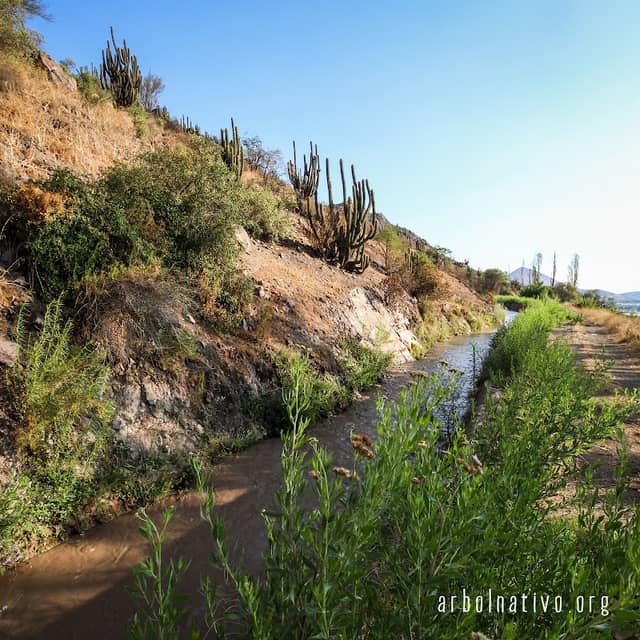 Cerro San Ignacio - Image 2