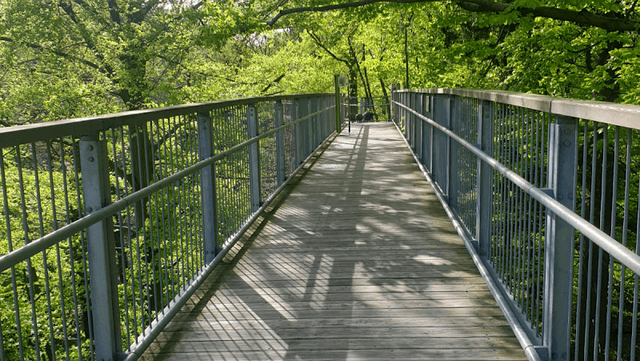 Baumwipfelpfad Harz - Image 1