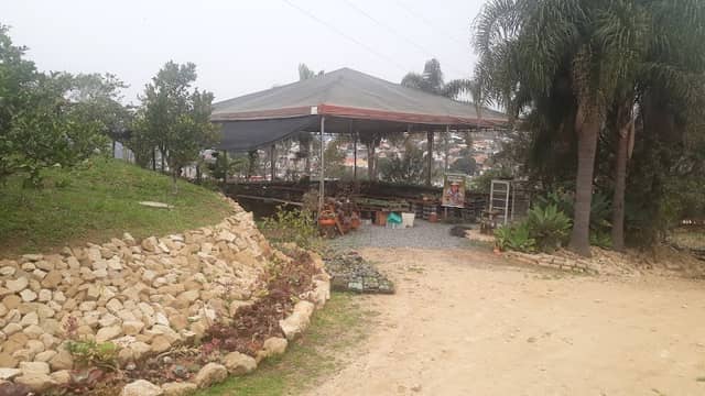 Mundo das Suculentas - Image 1