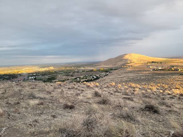 Candy Mountain - Image 2
