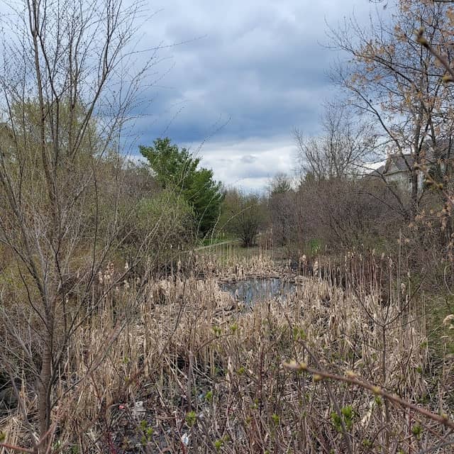 Gosling Gardens Trail - Image 2