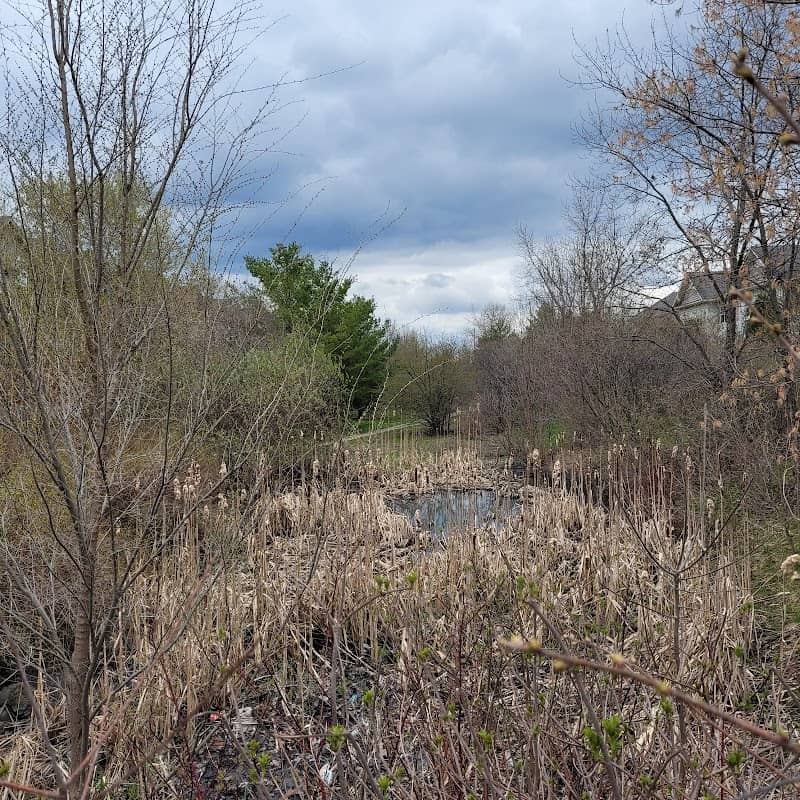 Gosling Gardens Trail - Image 2