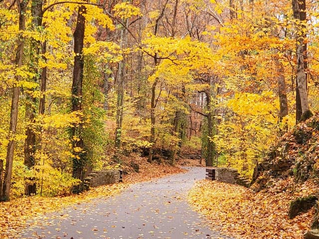 Muscatatuck Park - Image 3