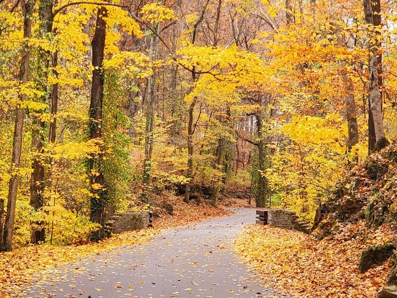 Muscatatuck Park - Image 3
