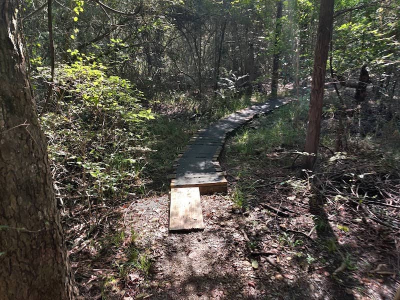 Jack Brooks Mountain Bike Trail Main Entrance - Image 1