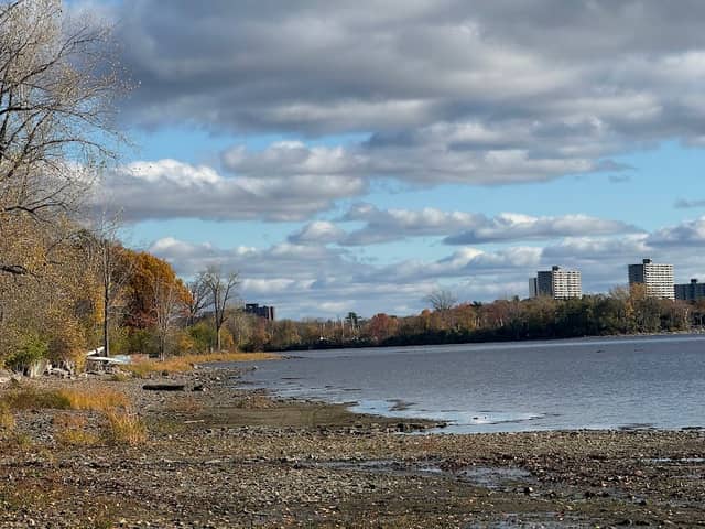 Guillot park - Image 1