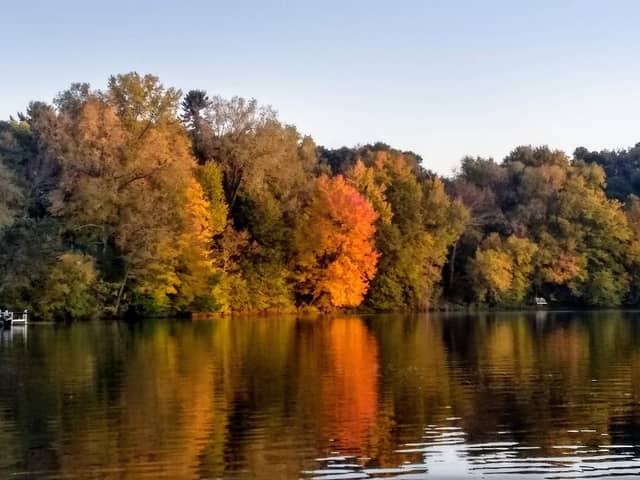 Point Comfort Park - Image 1