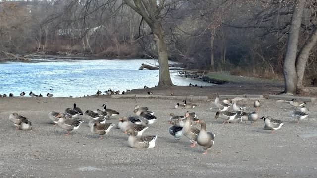 Waterworks Park - Image 3
