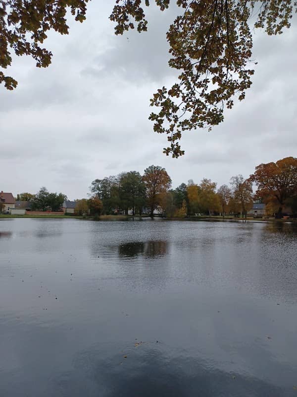 Schlossteich Guteborn - Image 1