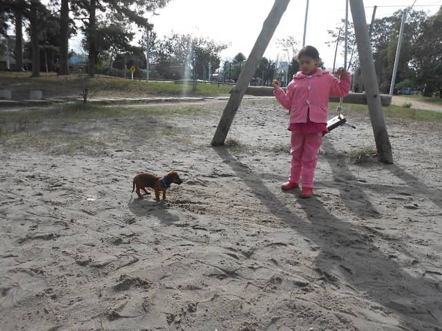 Plaza Zapicán - Image 1
