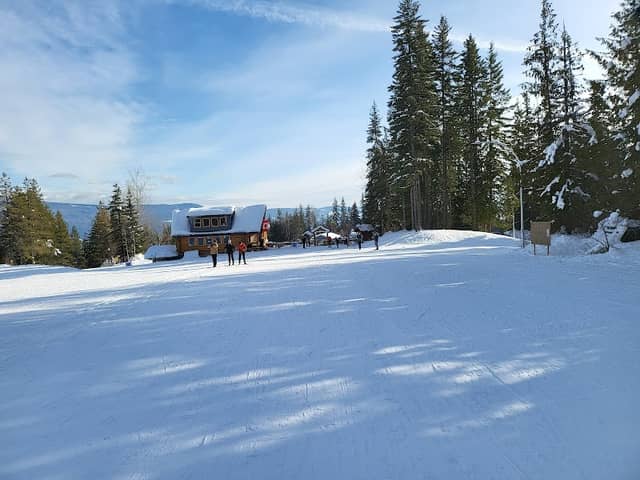 Larch Hills Lantern Ski - Image 1