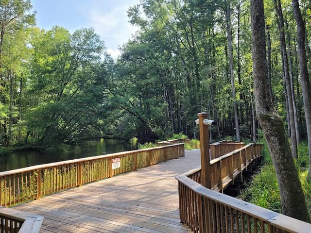 Lake Edisto Park - Image 1