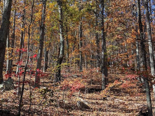 Signal Knob Trailhead - Image 3