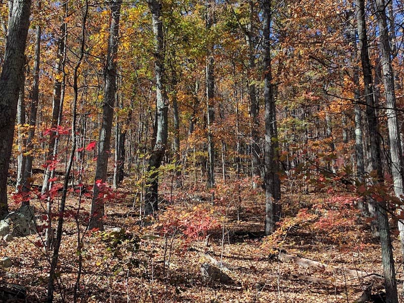 Signal Knob Trailhead - Image 3