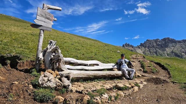 Bench (NO 2 Trail) - Image 2